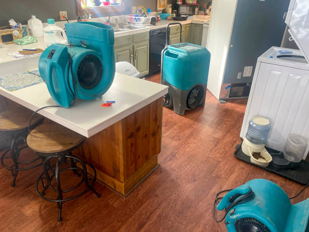 Best 24/7 water damage repair  in Warrenton, VA