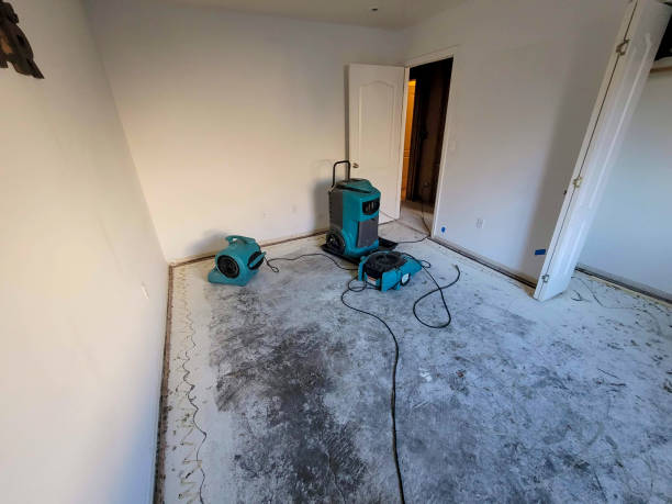 Best Flood restoration services  in Warrenton, VA